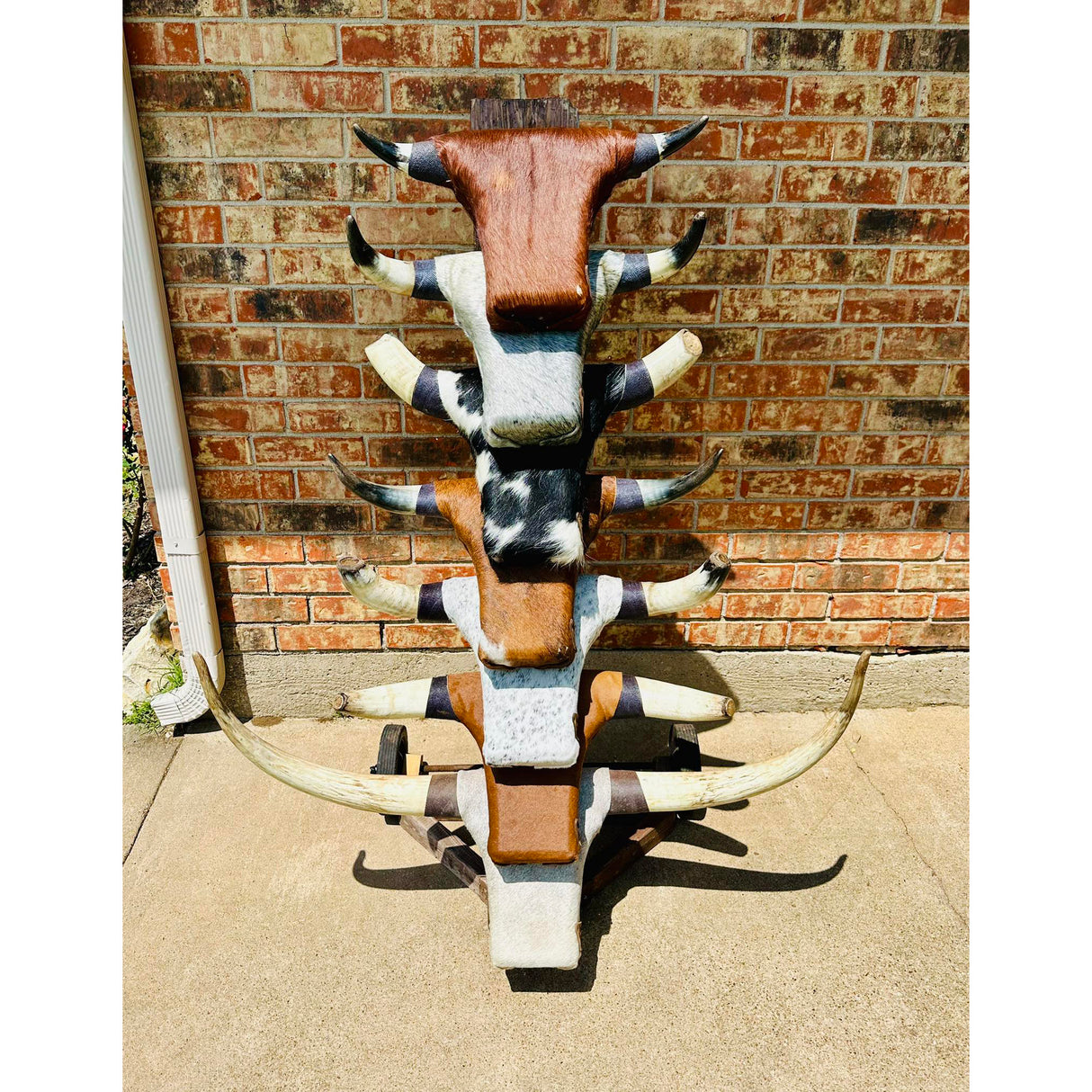 Rank Racks Cowhide Covered Roping Dummy with Authentic Horns