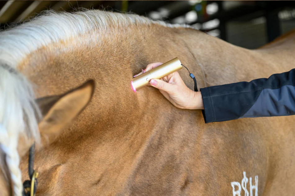XLR8 Equine Redline Ignite Handheld Therapy Light