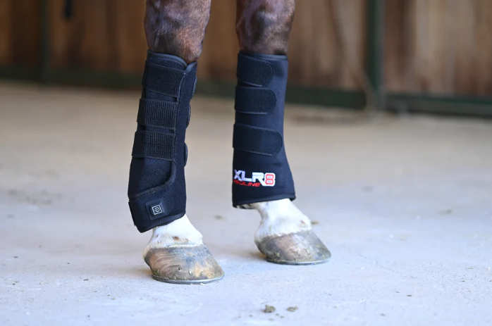 XLR8 Equine Redline Tendon Wraps