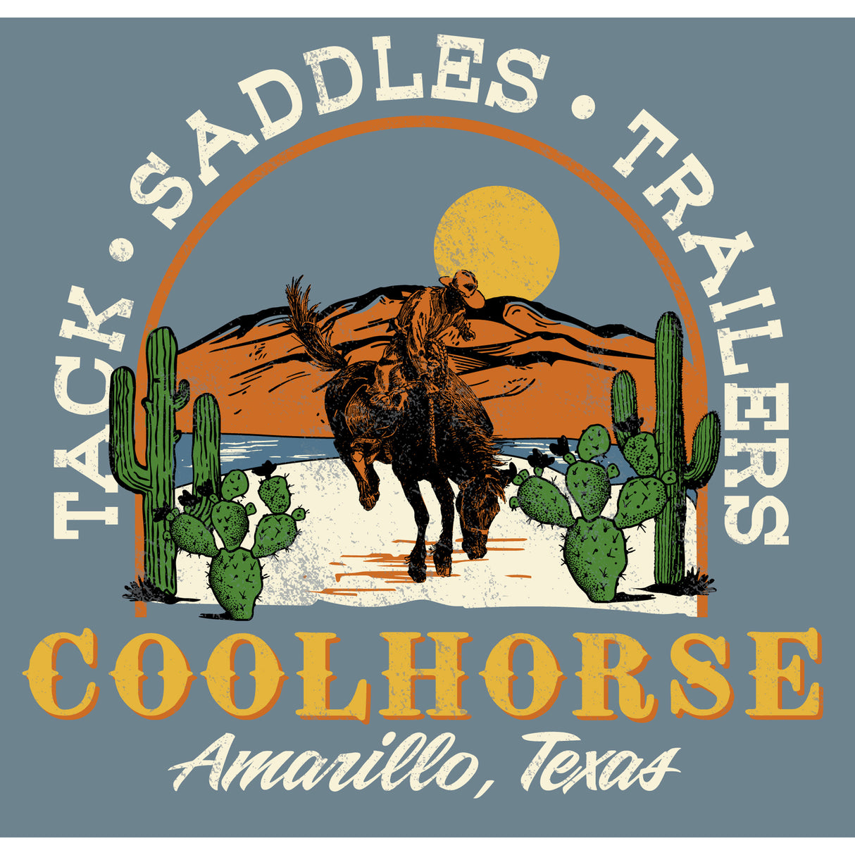 Coolhorse Unisex Blue Desert Bronc Long Sleeve T Shirt