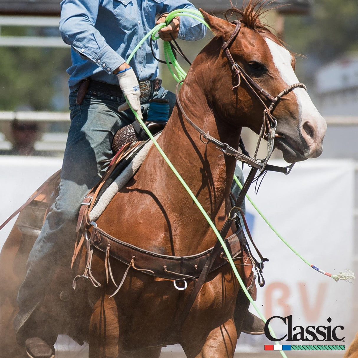 Classic Rope Spydr 5 Strand Heel Team Rope 35'
