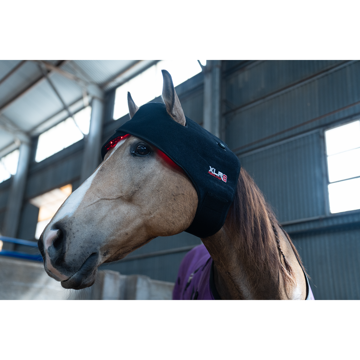 XLR8 Equine Redline Poll/Neck Wrap