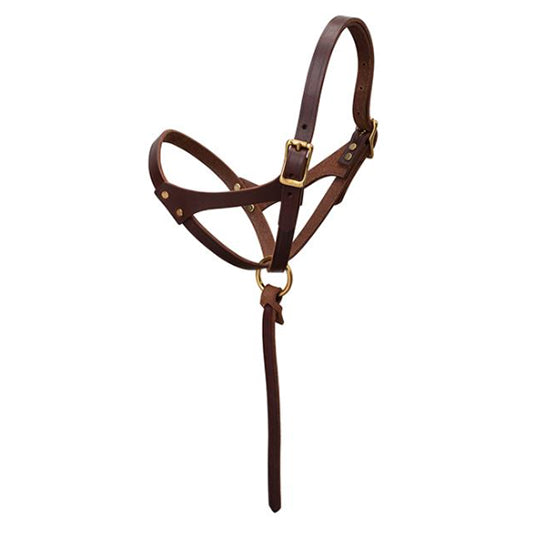 Weaver Leather Figure 8 Foal Halter with Leather Lead Rope