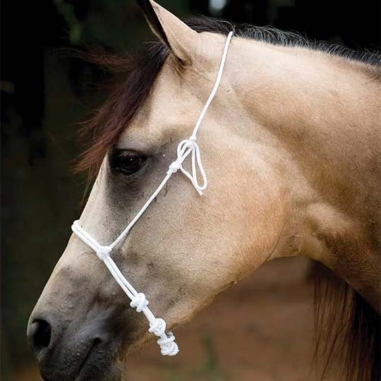 Partrade White Rope Cavesson Noseband