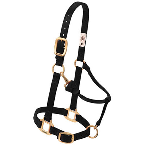 Weaver Leather Black Nylon Foal Halter