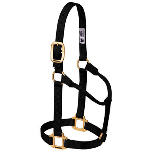 Weaver Leather Large Nylon Horse Halter