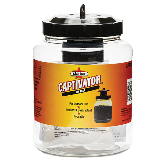 Star Bar Captivator Fly Trap