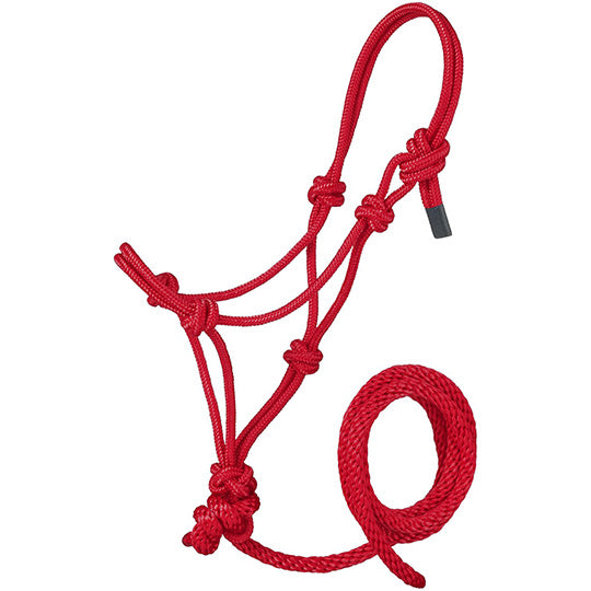 Tough 1 Mini Rope Halter with Lead Rope- Red
