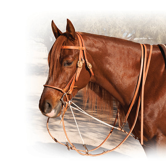 Professional's Choice Al Dunning Split Reins German Martingale