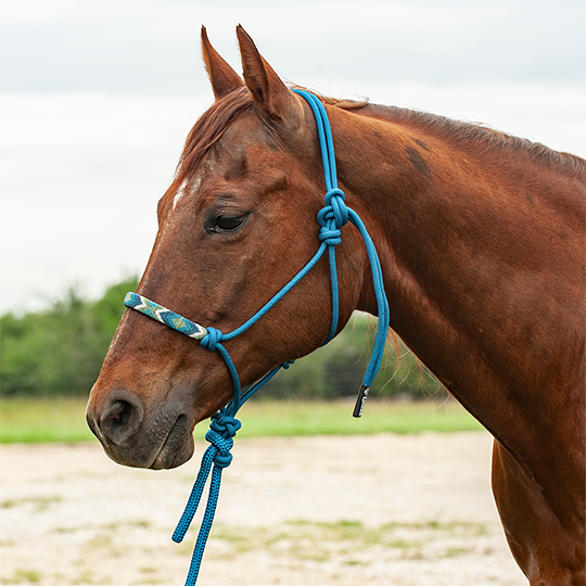 Cashel Beaded Rope Nose Halter with 9' Lead Rope- Blue