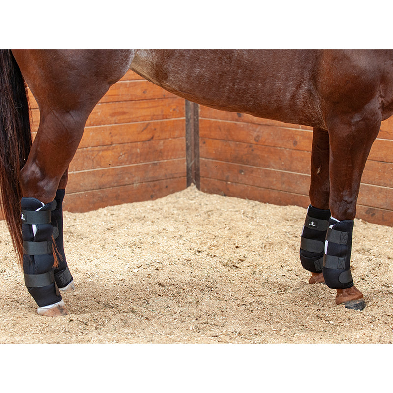 Classic Equine Quick Wraps- Set of 2