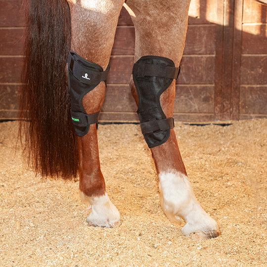 Classic Equine MagNTX Black Hock Wraps