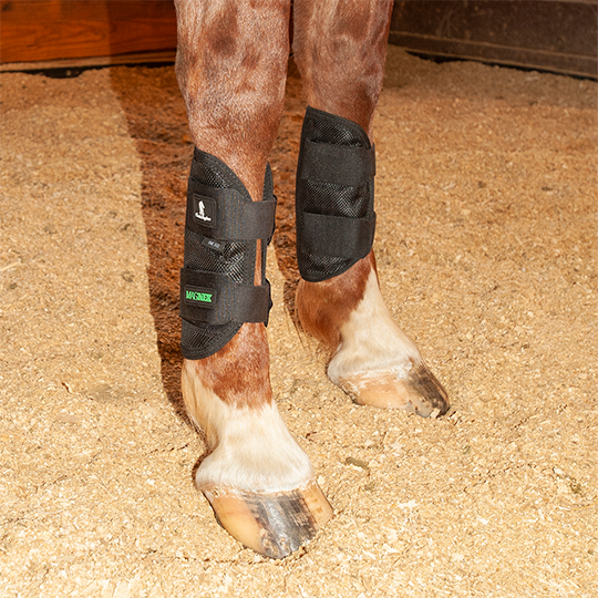 Classic Equine MagNTX Black Tendon Wrap