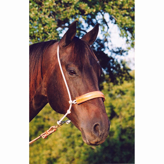 Martin Saddlery Head Setter with Leather Covered Rope Noseband