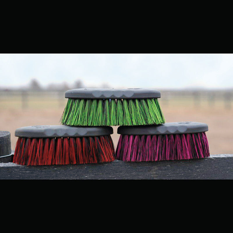 Tail Tamer by Professional's Choice Small Soft Poly Brush- Assorted Colors