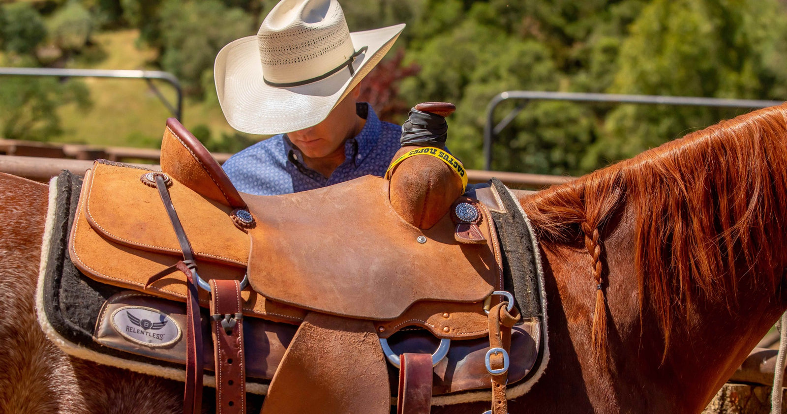 A horse rider with white pants and brown boots sits on a brown horse with a brown leather saddle blanket and saddle.