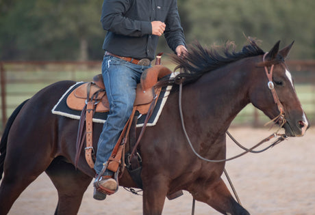 Choosing the Right Saddle Pad: The Classic Equine Difference
