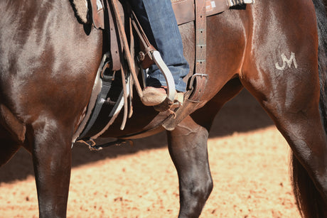Choosing the Best Cinch For Your Horse