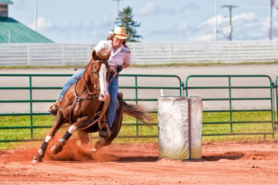 Barrel Racing Running Home What You Should Know Before You Start Barrel Racing
