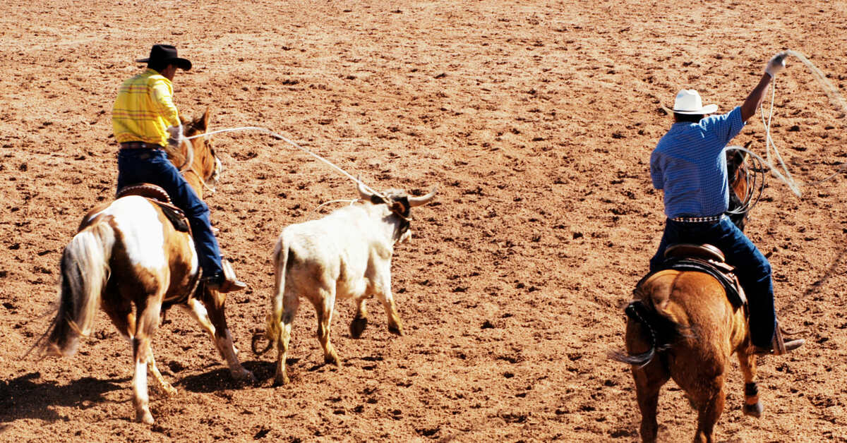 9 Tips for Choosing the Best Team Roping Rope