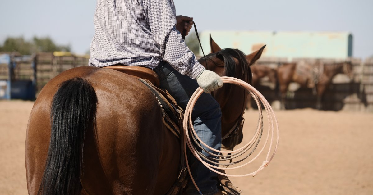 10 Team Roping Accessories To Enhance Your Training Sessions