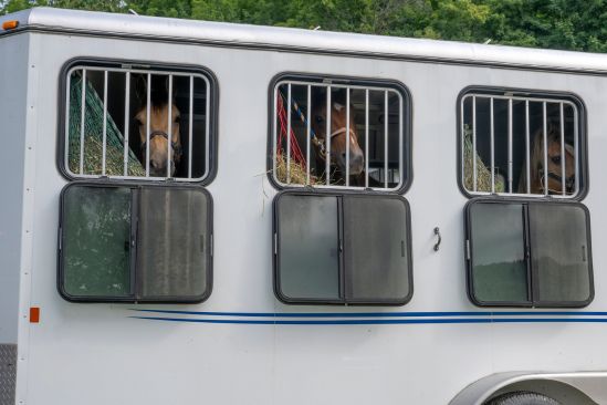 5 Horse Trailer Maintenance Tips You Should Know