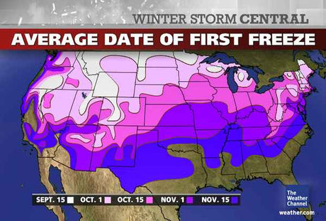 When does it freeze where you live?  What do you do to be ready for it?