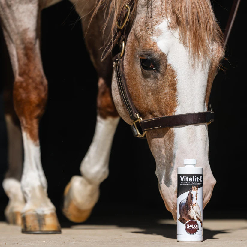 Solo Select Vitalit-E: Vitamin E Liquid Horse Supplement