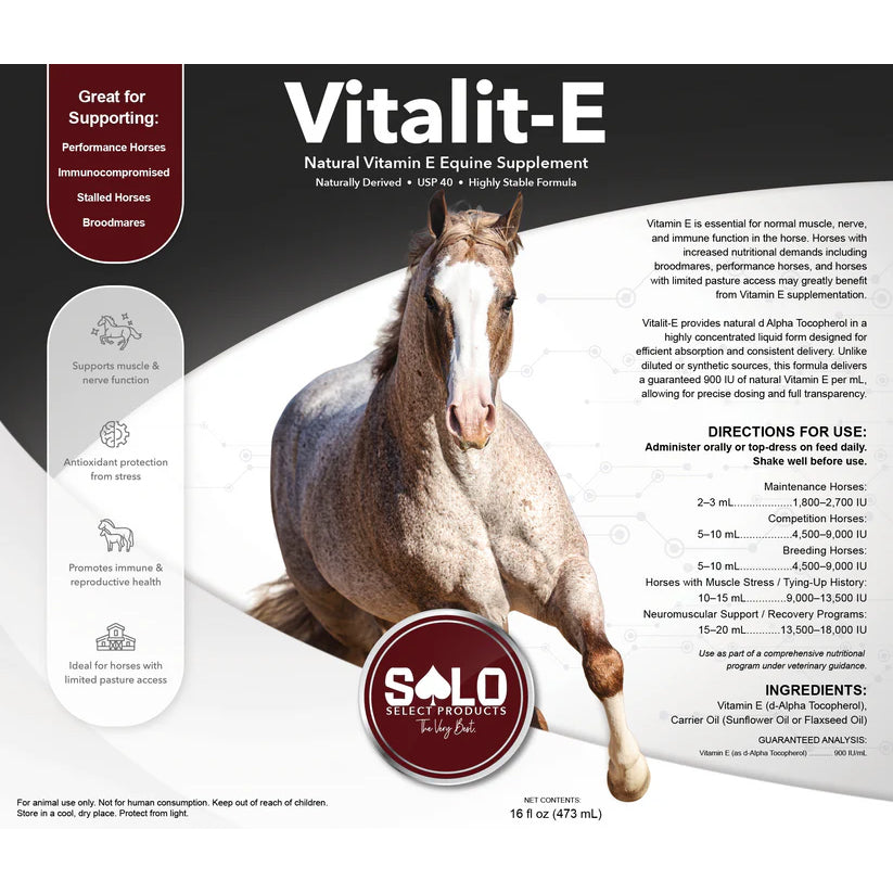 Solo Select Vitalit-E: Vitamin E Liquid Horse Supplement