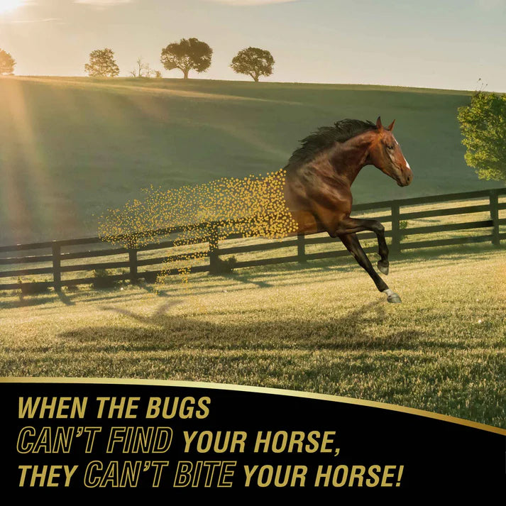 Absorbine UltraShield Gold Insecticide and Repellent- Gallon