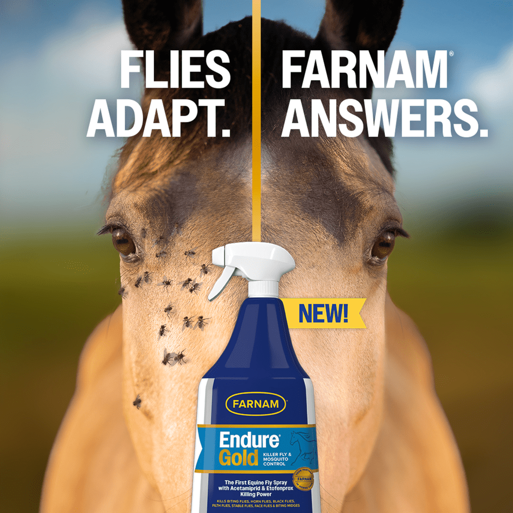 Farnam Endure Gold Fly Spray- 32oz.