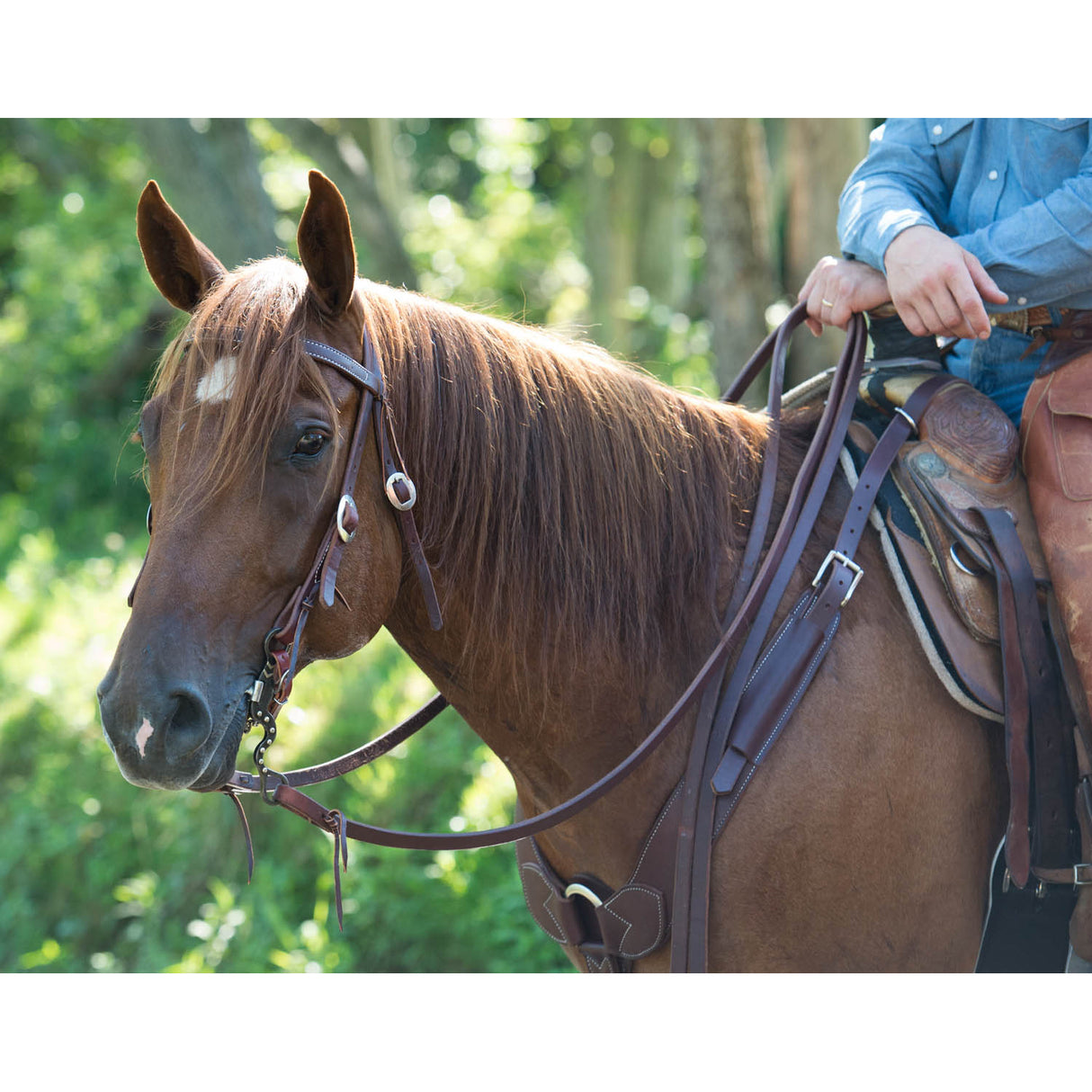 Weaver Leather Working Tack Single-Ply Browband Headstall