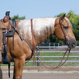 Weaver Leather Working Tack Single Buckle Slip Ear Headstall