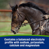 Farnam Apple Elite Electrolyte Paste- 60cc