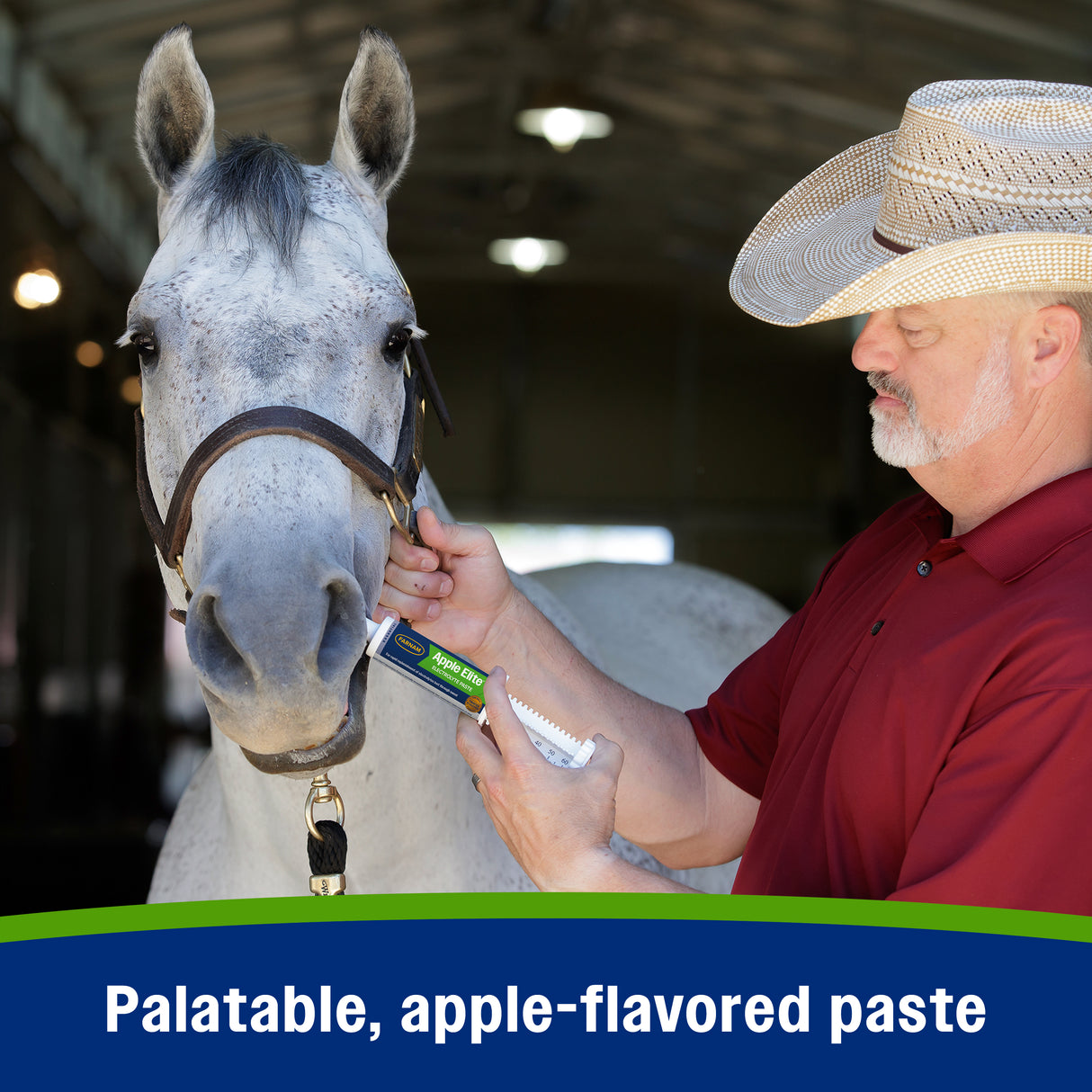 Farnam Apple Elite Electrolyte Paste- 60cc