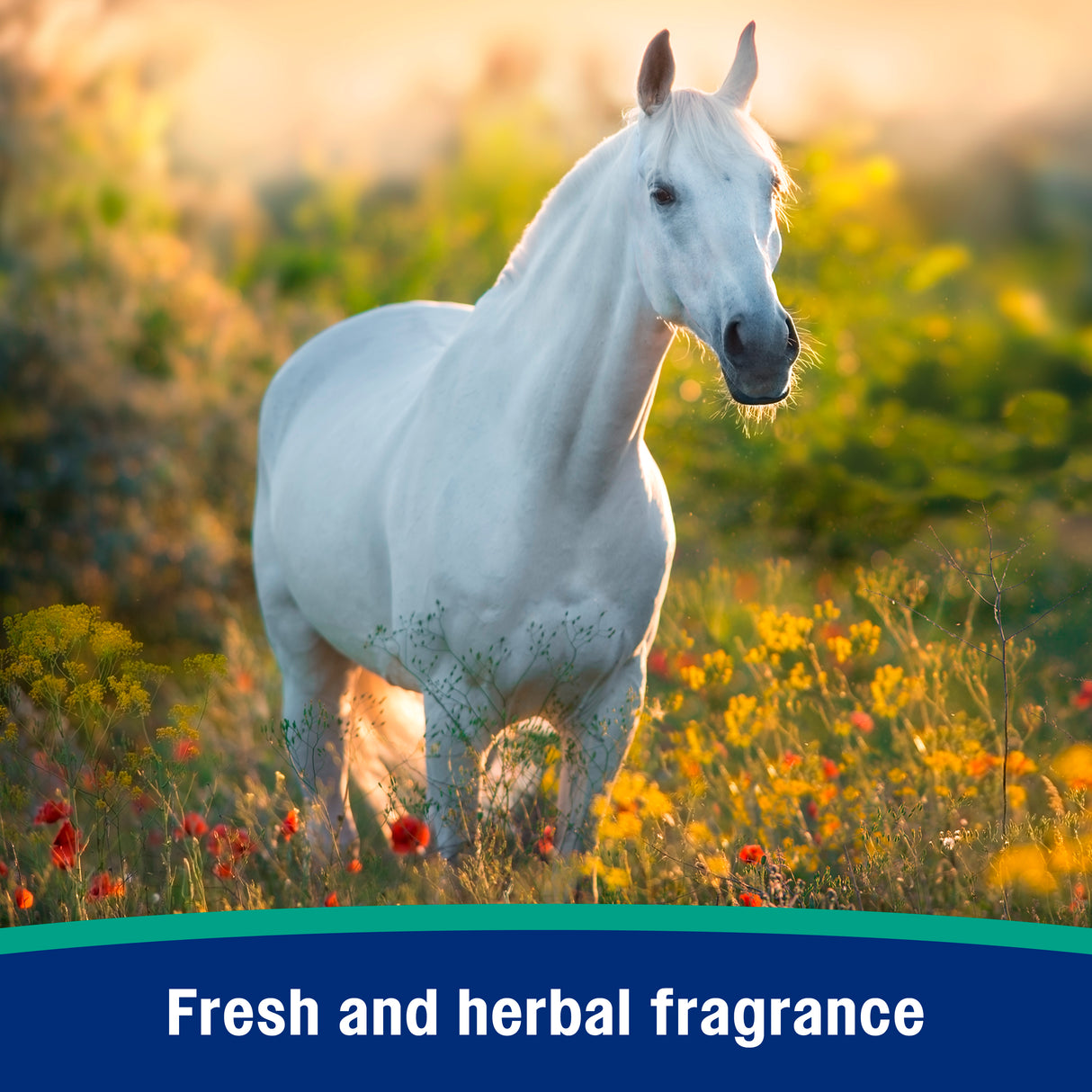 Farnam Nature's Defense Natural Fly Spray- 32oz.