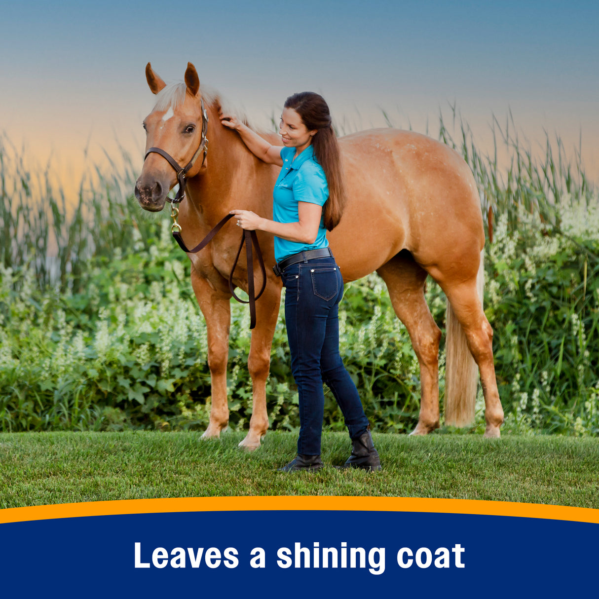 Farnam Bronco Gold Equine Fly Spray- 32oz.