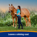 Farnam Bronco Gold Equine Fly Spray- 32oz.