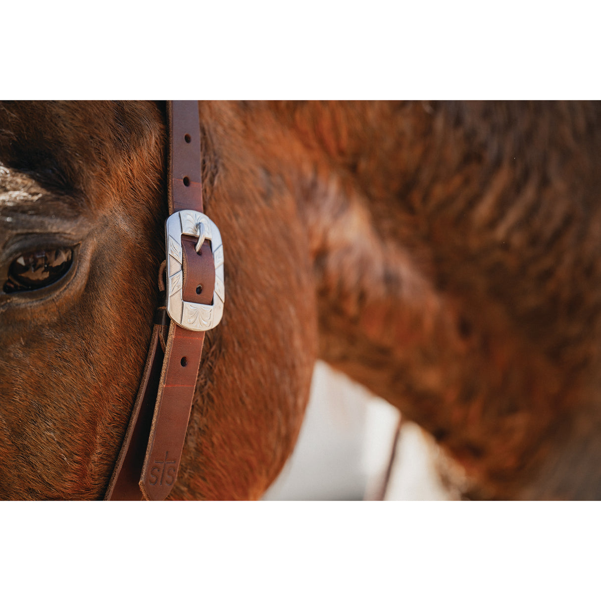 Weaver Leather STS Ranch 1" Split Ear Headstall with Square Buckle