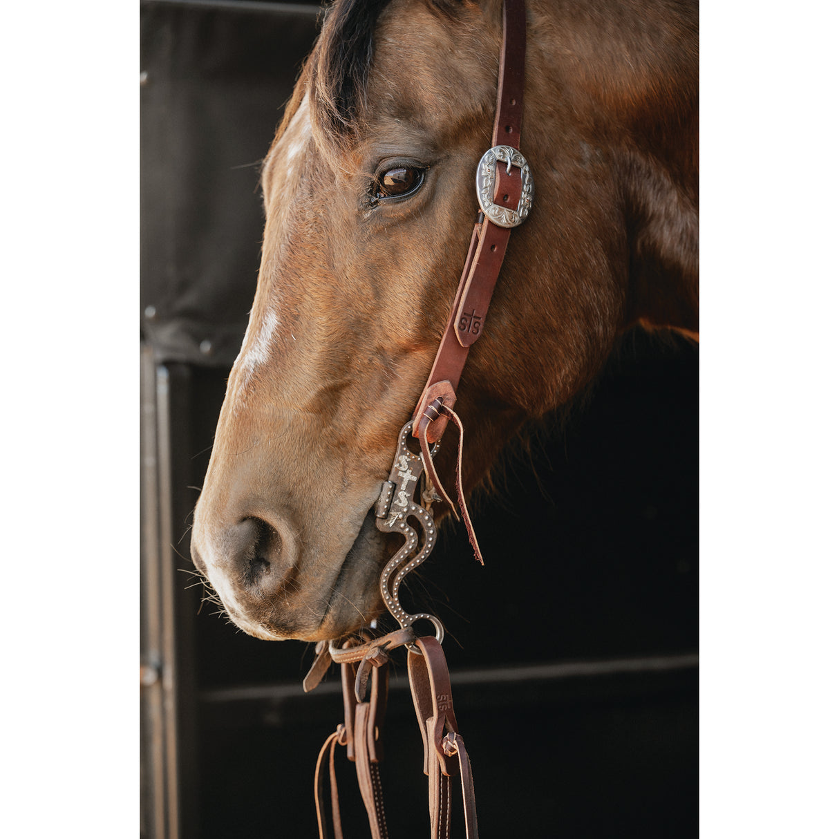 Weaver Leather STS Ranch 1" Split Ear Headstall with Oval Buckle