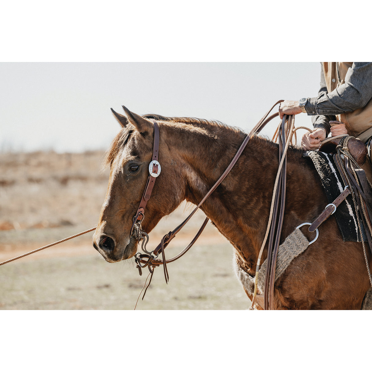 Weaver Leather STS Ranch 1" Split Ear Headstall with Oval Buckle