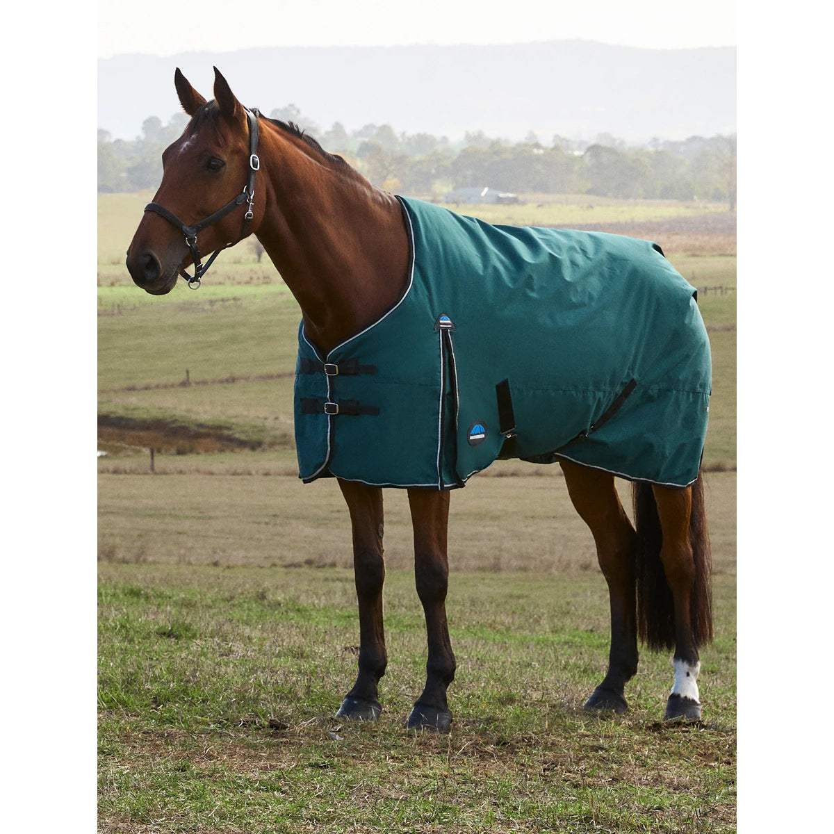 Weatherbeeta ComFiTec Classic Turnout Blanket- 220G