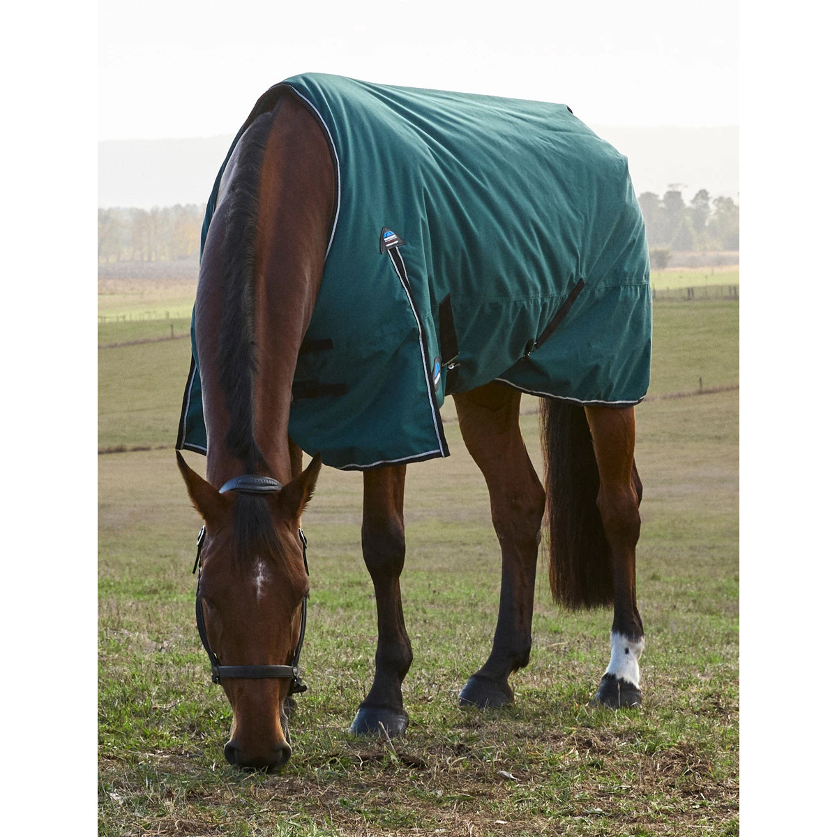 Weatherbeeta ComFiTec Classic Turnout Blanket- 220G