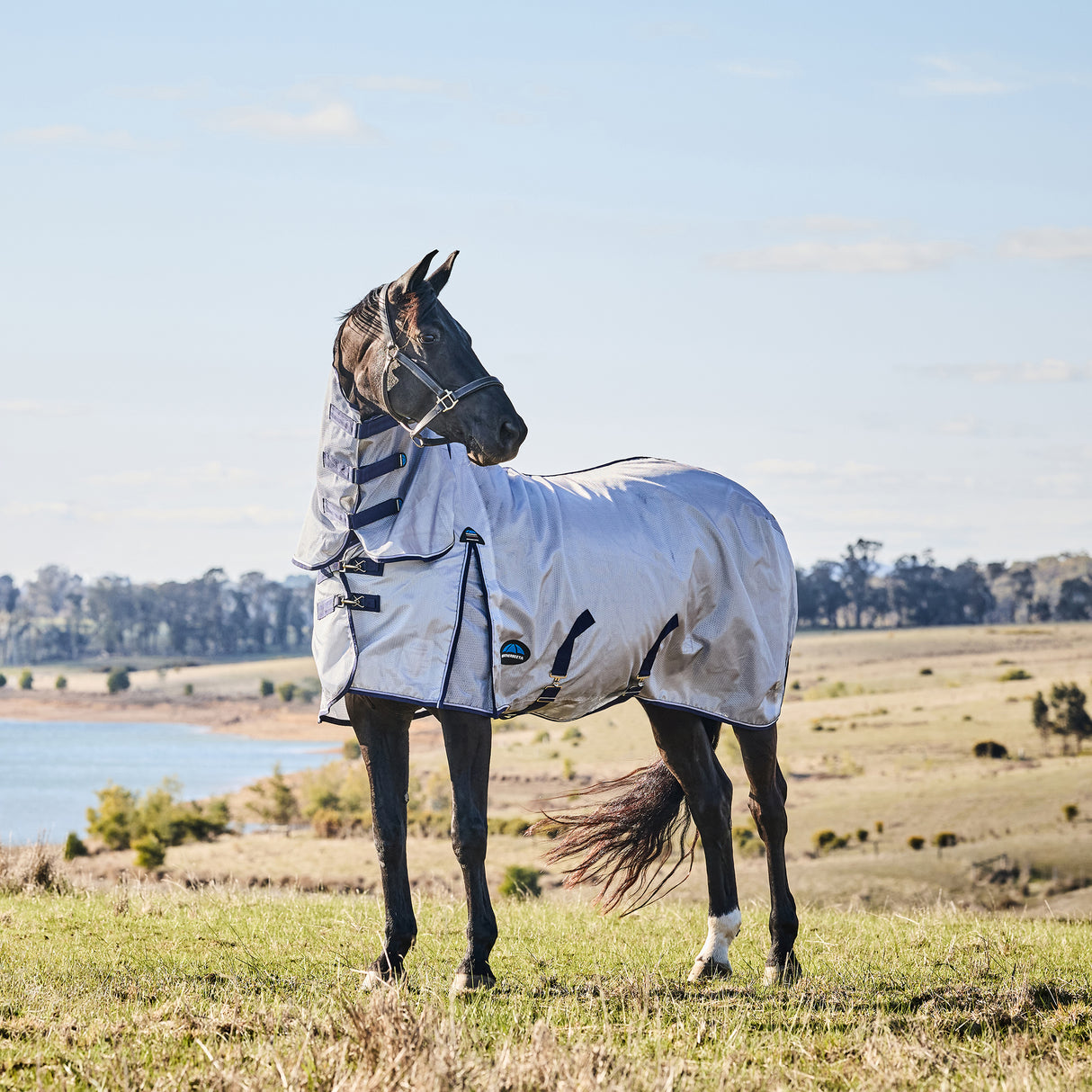 Weatherbeeta ComFiTec Hexi Shield Fly Sheet Combo- Silver/Navy/White