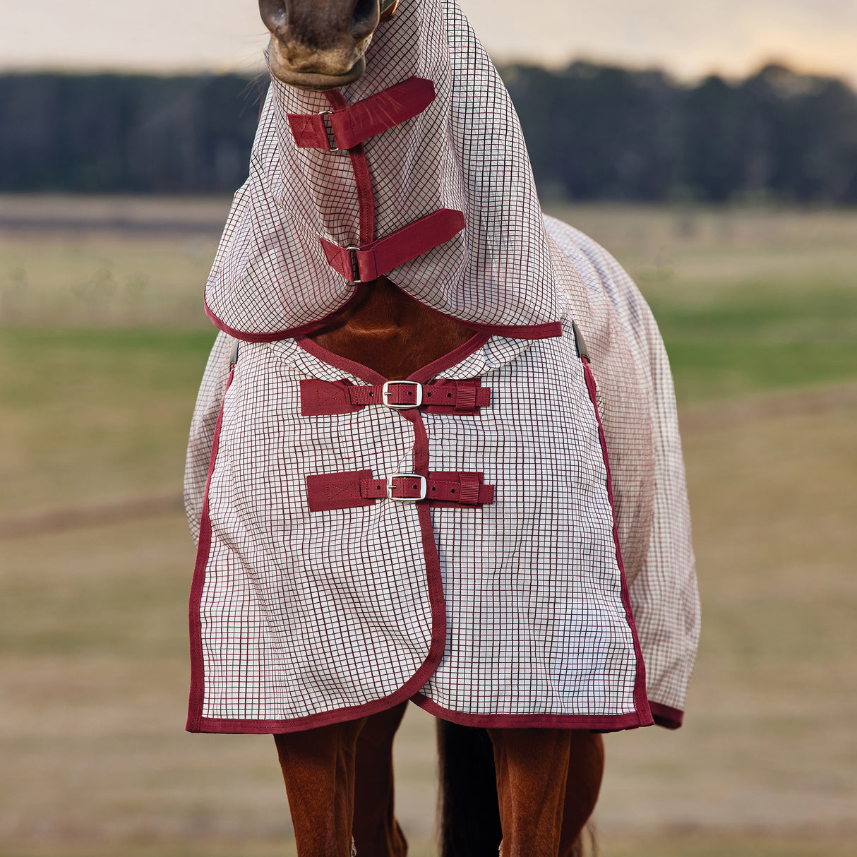 Weatherbeeta ComFiTec RipShield Fly Sheet Detach-A-Neck- White/Burgundy