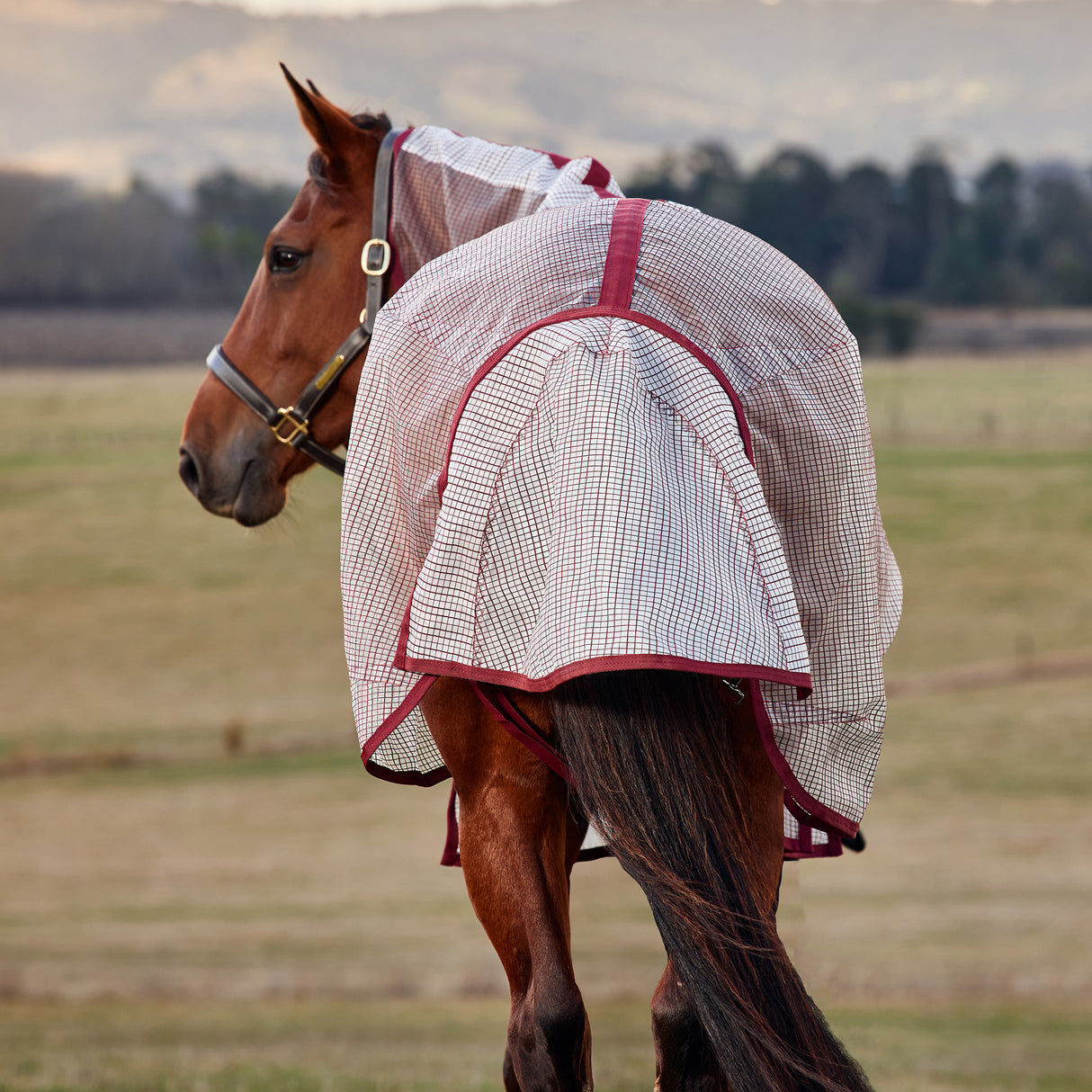 Weatherbeeta ComFiTec RipShield Fly Sheet Detach-A-Neck- White/Burgundy