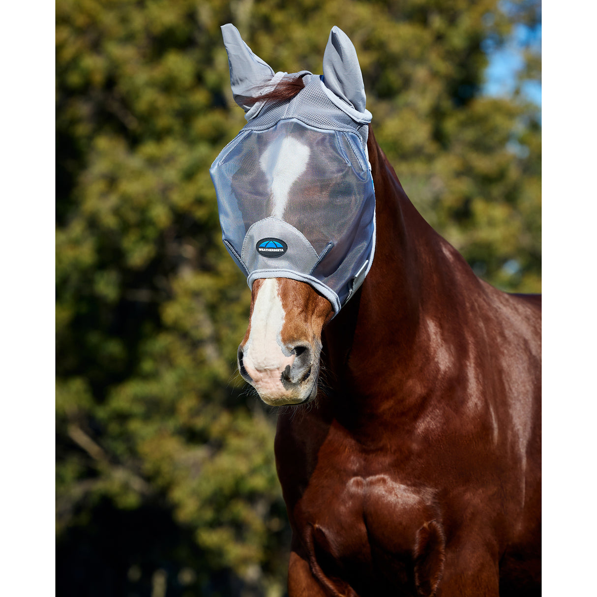 Weatherbeeta ComFiTec Durable Mesh Fly Mask w/ Ears