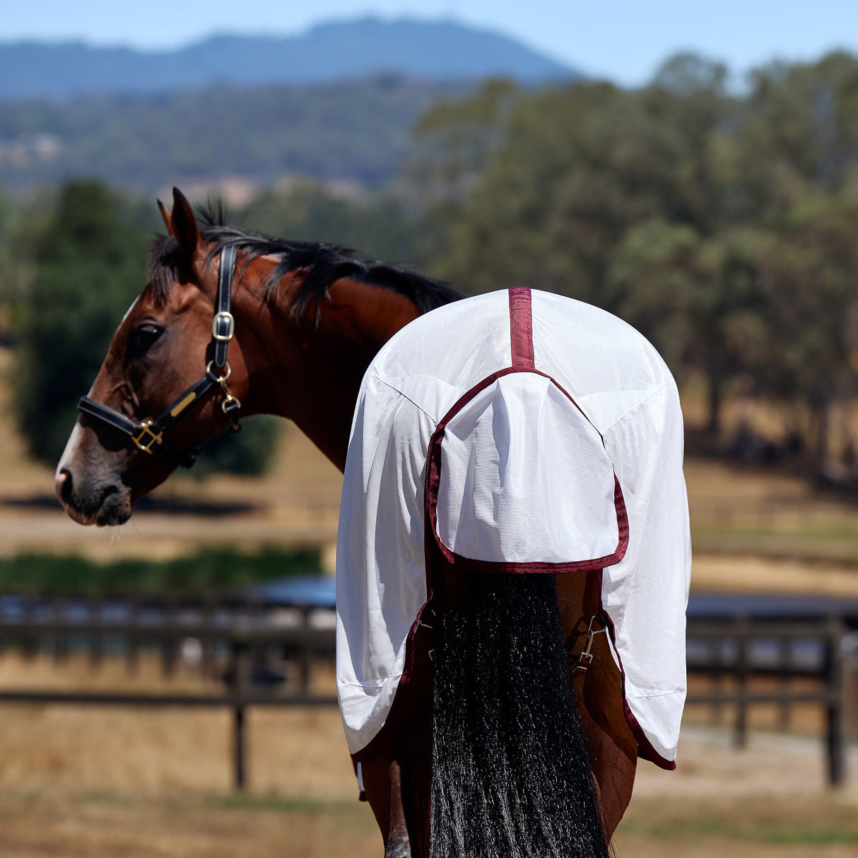 Weatherbeeta ComFiTec Essential Fly Sheet- Burgundy/White