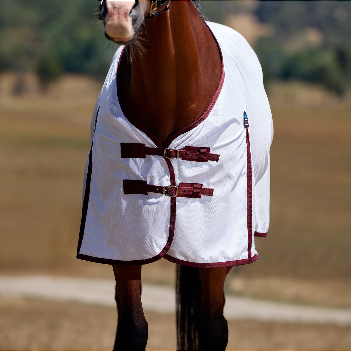 Weatherbeeta ComFiTec Essential Fly Sheet- Burgundy/White