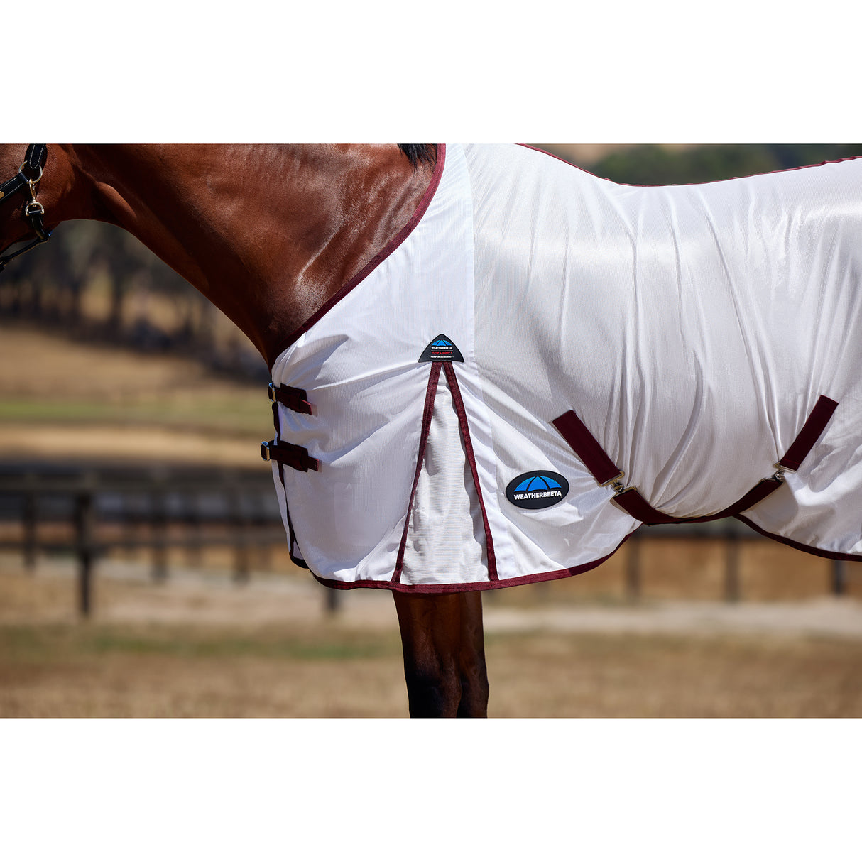 Weatherbeeta ComFiTec Essential Fly Sheet- Burgundy/White